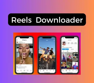 Reels Downloader